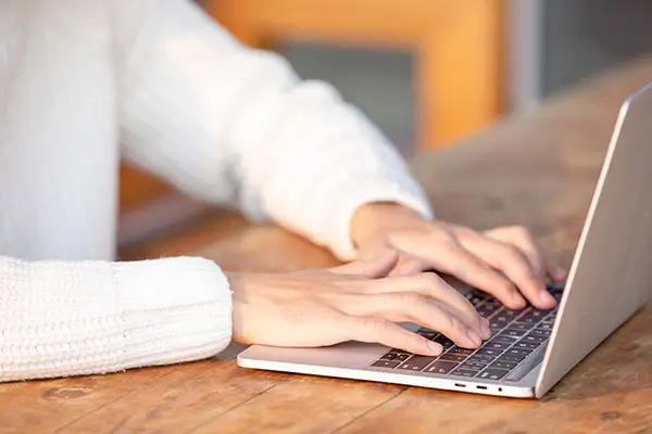 粘土动物美食做法视频