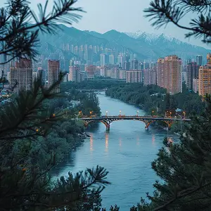 羊哪个部位做火锅