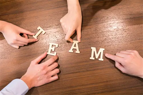 甘蓝的做法美食大全