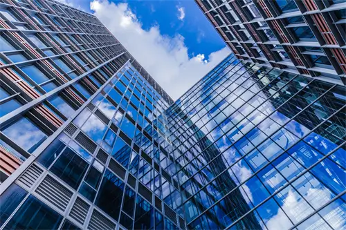 蛋白液美食做法窍门