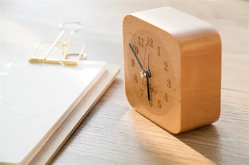 杏鲍菇做法美食视频大全